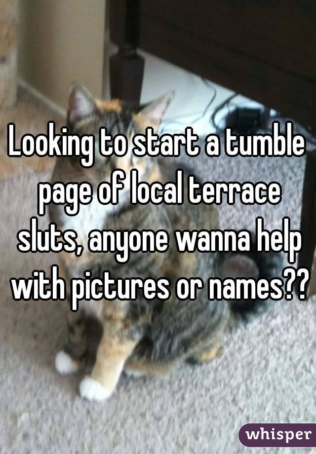 Looking to start a tumble page of local terrace sluts, anyone wanna help with pictures or names??