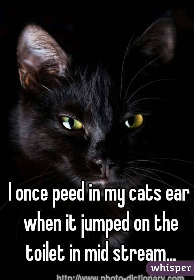 I once peed in my cats ear when it jumped on the toilet in mid stream...