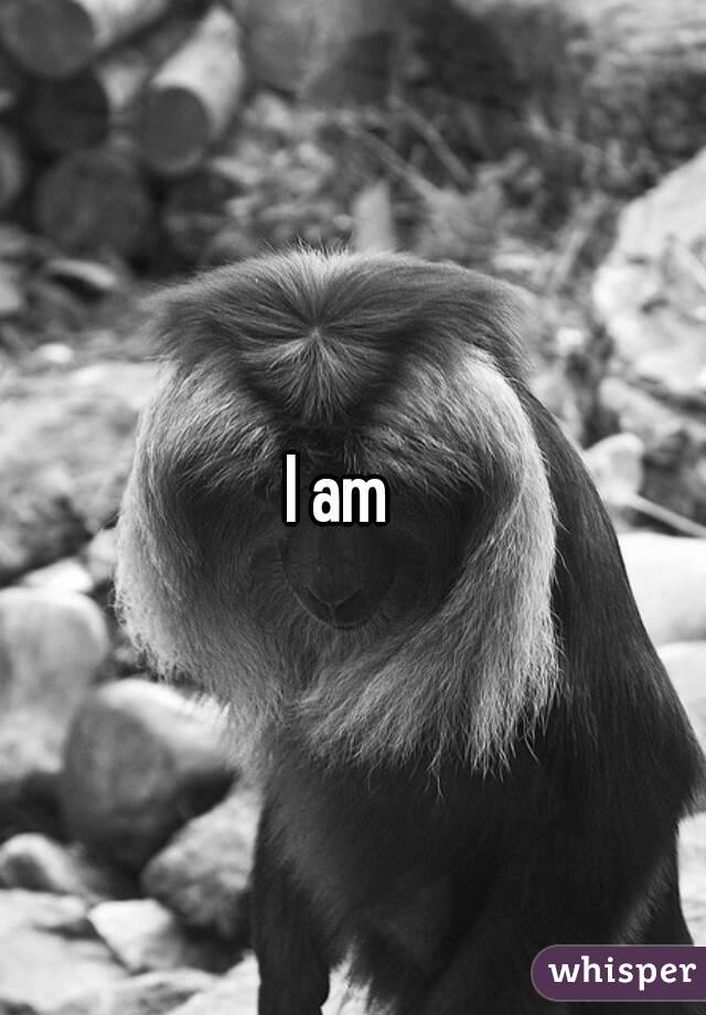I am  
