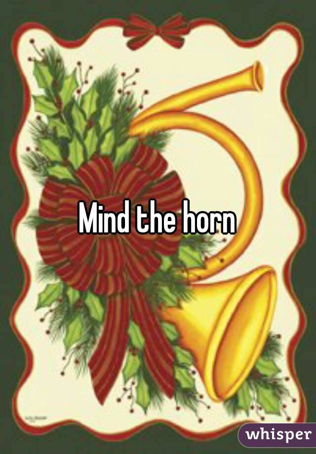 Mind the horn