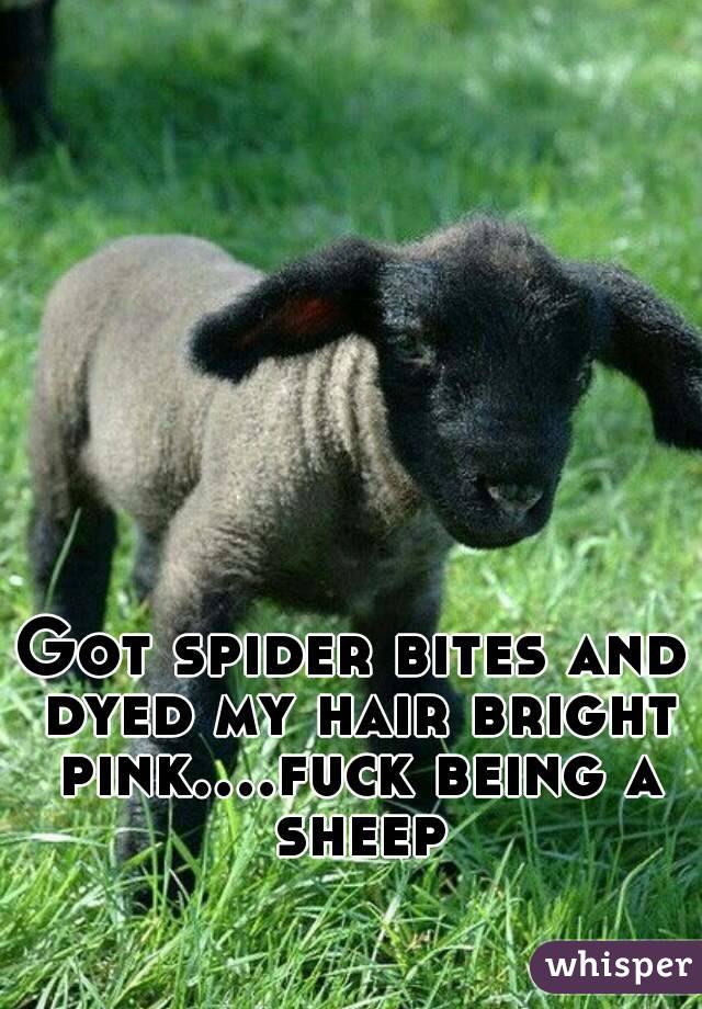 Got spider bites and dyed my hair bright pink....fuck being a sheep