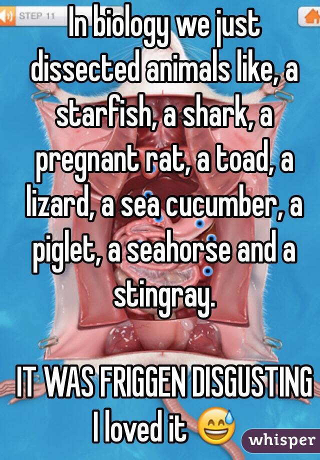 In biology we just dissected animals like, a starfish, a shark, a pregnant rat, a toad, a lizard, a sea cucumber, a piglet, a seahorse and a stingray.

IT WAS FRIGGEN DISGUSTING
I loved it 😅