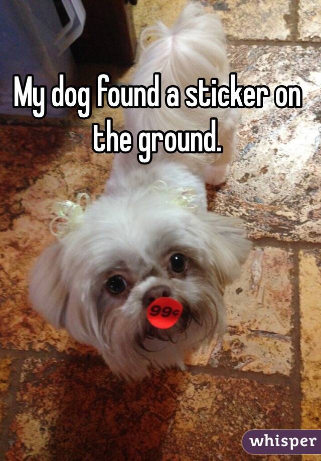 My dog found a sticker on the ground. 