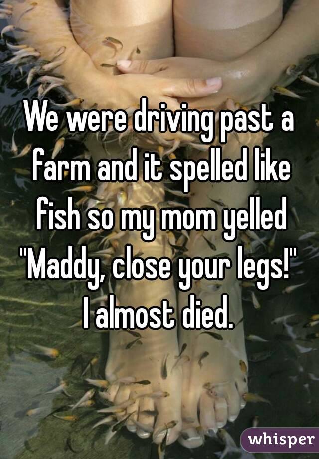 We were driving past a farm and it spelled like fish so my mom yelled "Maddy, close your legs!" 
I almost died.
