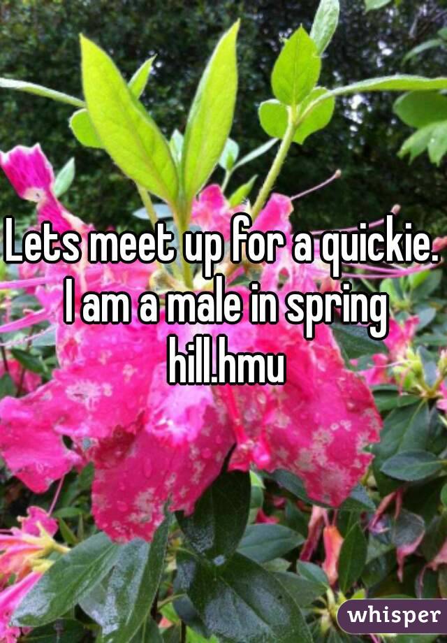 Lets meet up for a quickie. I am a male in spring hill.hmu