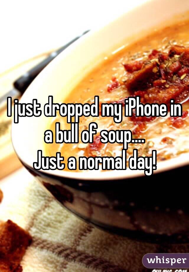 I just dropped my iPhone in a bull of soup.... 
Just a normal day!