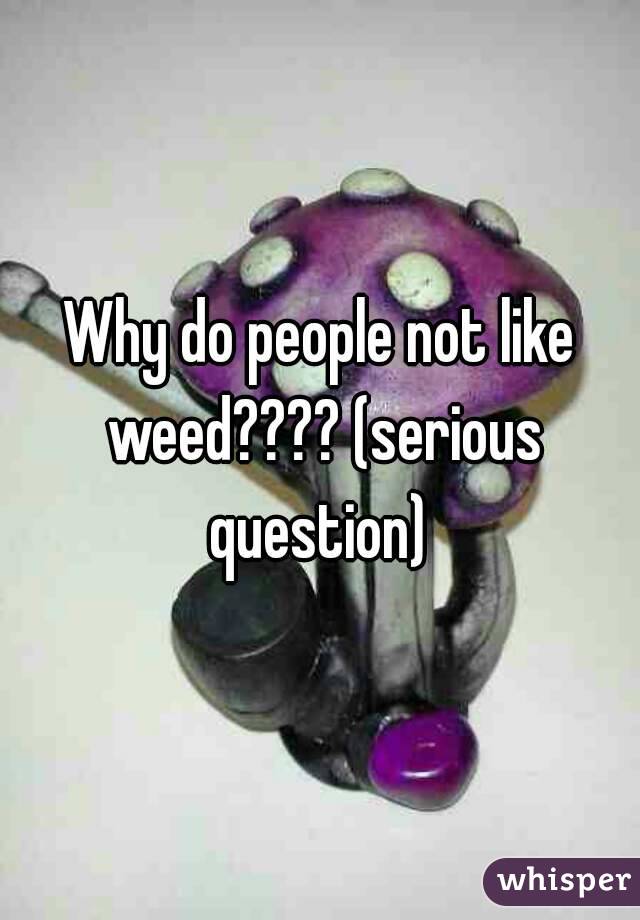 Why do people not like weed???? (serious question) 