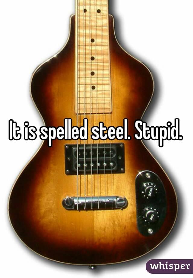 It is spelled steel. Stupid.