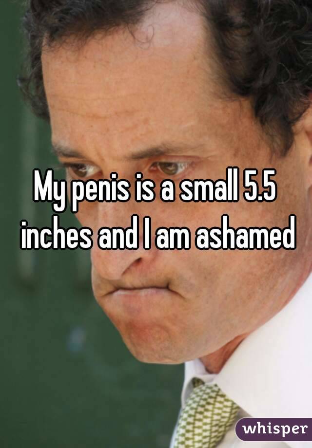 My penis is a small 5.5 inches and I am ashamed
