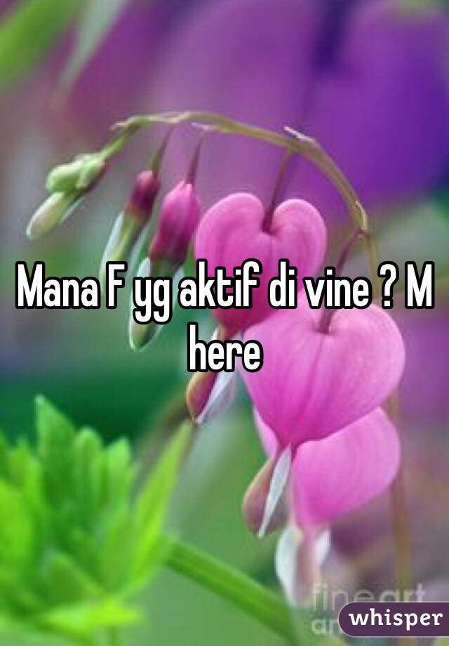 Mana F yg aktif di vine ? M here