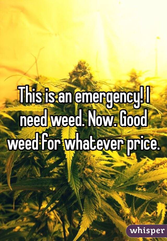 This is an emergency! I need weed. Now. Good weed for whatever price. 
