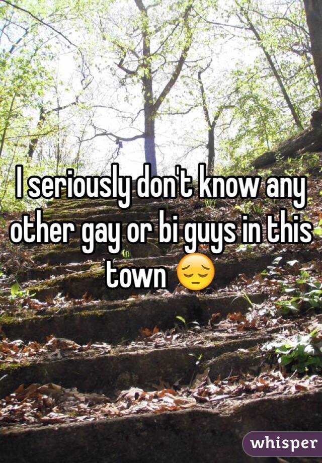 I seriously don't know any other gay or bi guys in this town 😔