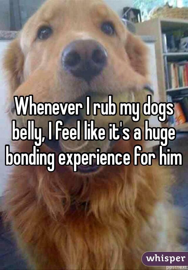Whenever I rub my dogs belly, I feel like it's a huge bonding experience for him