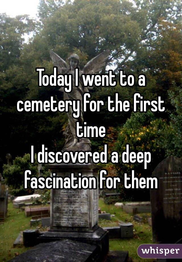 Today I went to a cemetery for the first time
I discovered a deep fascination for them