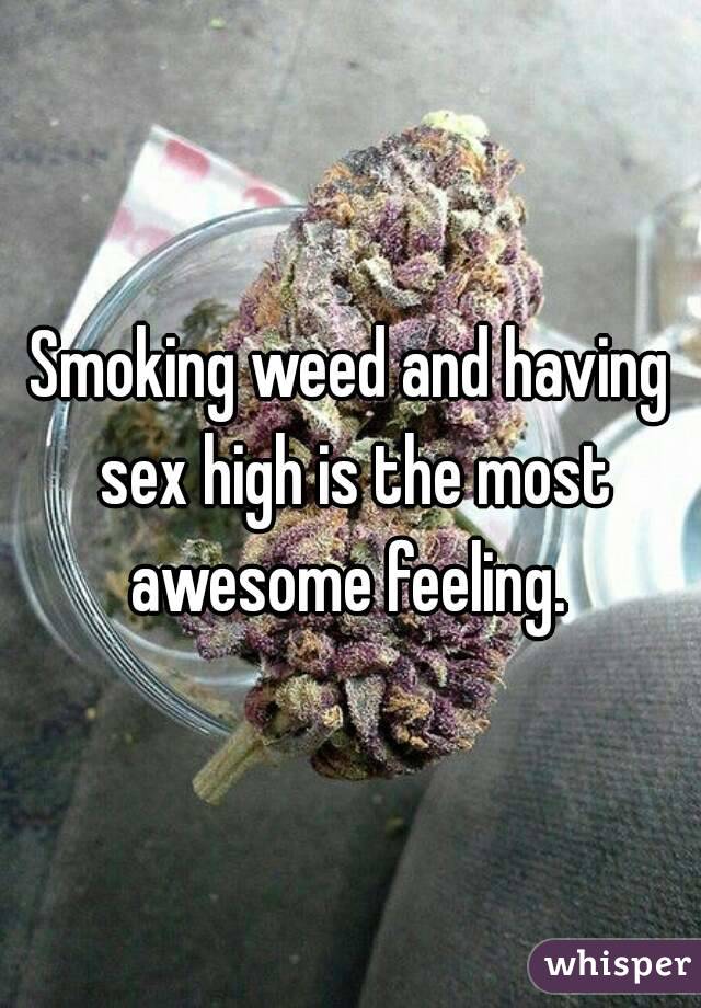 Smoking weed and having sex high is the most awesome feeling. 