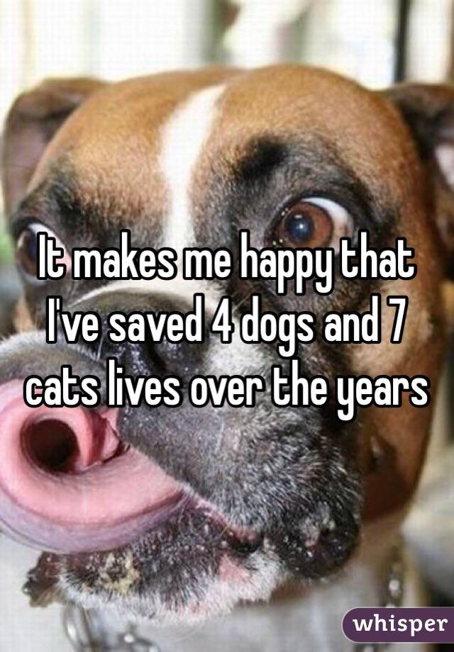 It makes me happy that I've saved 4 dogs and 7 cats lives over the years 