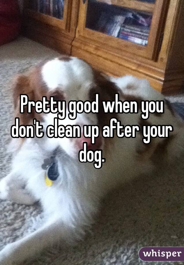 Pretty good when you don't clean up after your dog. 