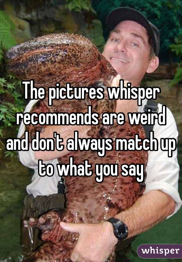 The pictures whisper recommends are weird and don't always match up to what you say