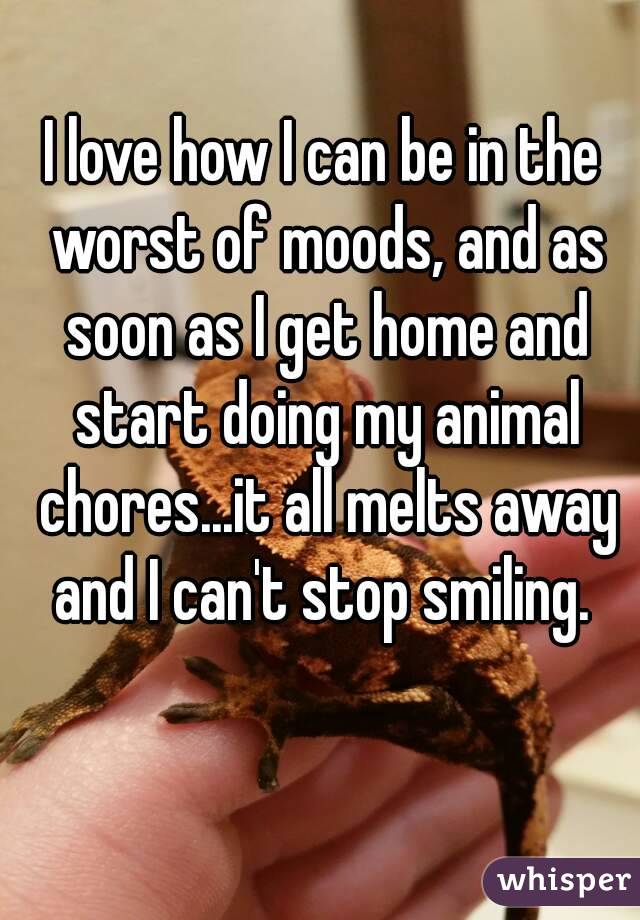 I love how I can be in the worst of moods, and as soon as I get home and start doing my animal chores...it all melts away and I can't stop smiling. 