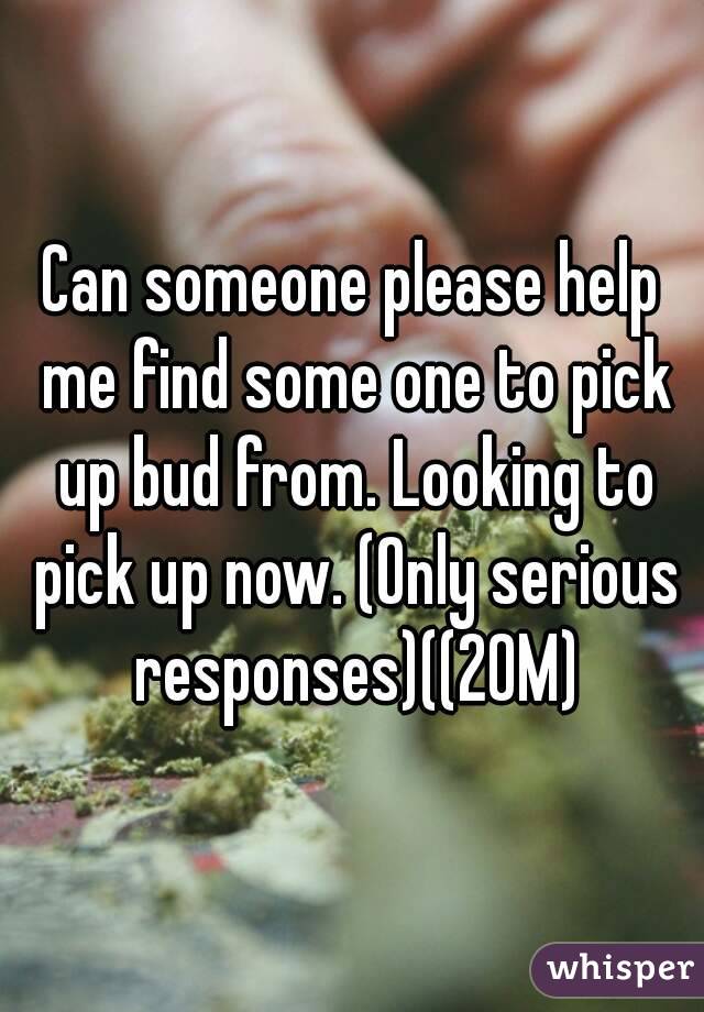 Can someone please help me find some one to pick up bud from. Looking to pick up now. (Only serious responses)((20M)
