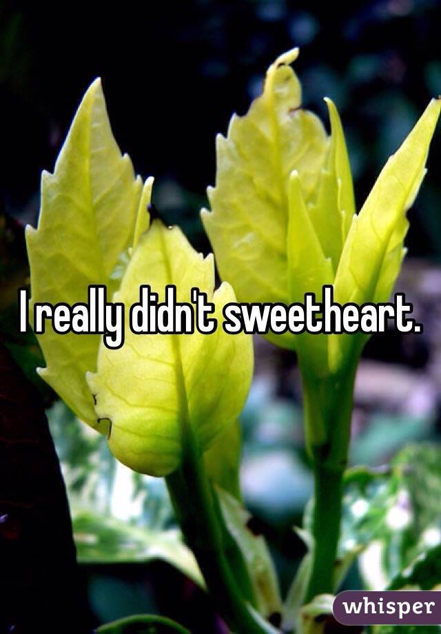 I really didn't sweetheart.