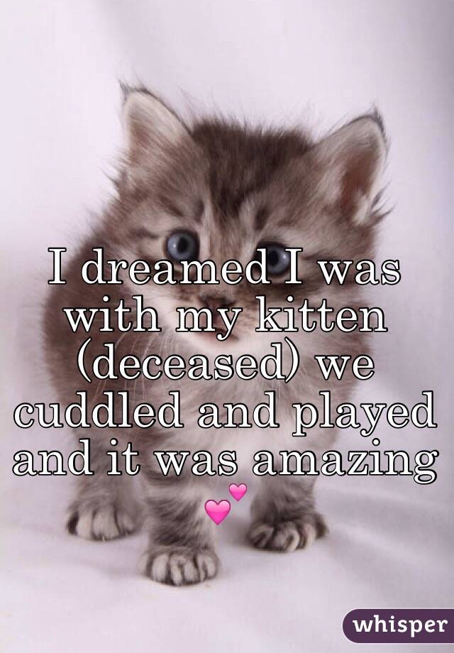 I dreamed I was with my kitten (deceased) we cuddled and played and it was amazing 💕