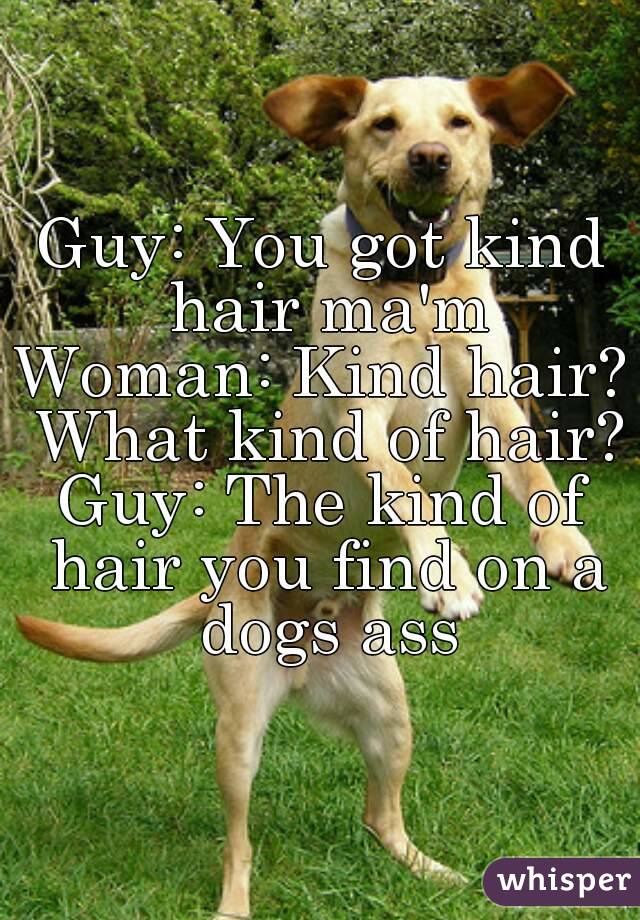 Guy: You got kind hair ma'm
Woman: Kind hair? What kind of hair?
Guy: The kind of hair you find on a dogs ass