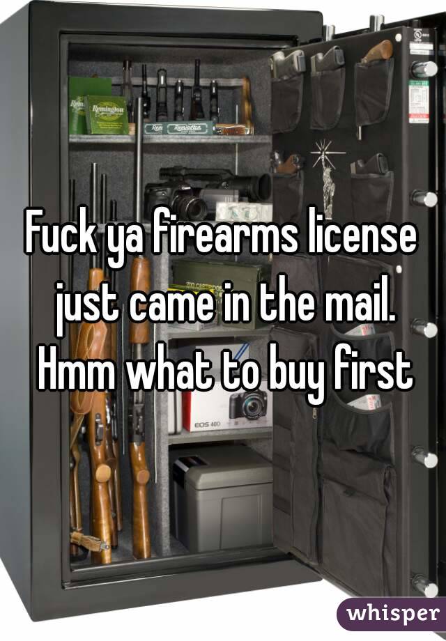 Fuck ya firearms license just came in the mail. Hmm what to buy first