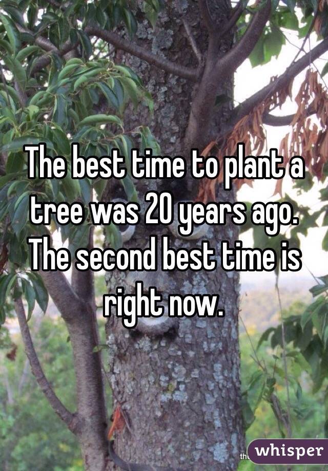 The best time to plant a tree was 20 years ago. The second best time is right now. 