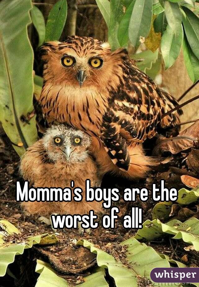 Momma's boys are the worst of all! 