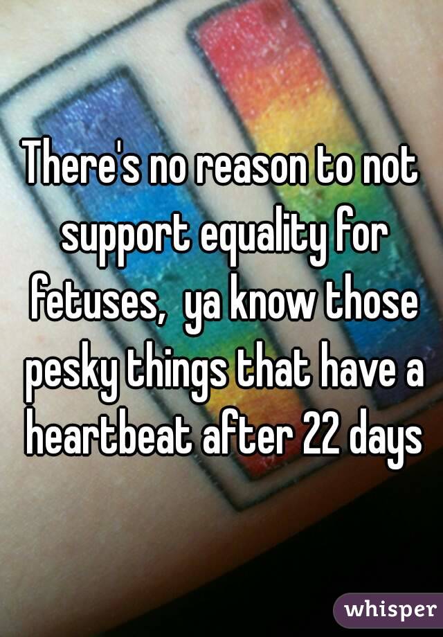There's no reason to not support equality for fetuses,  ya know those pesky things that have a heartbeat after 22 days