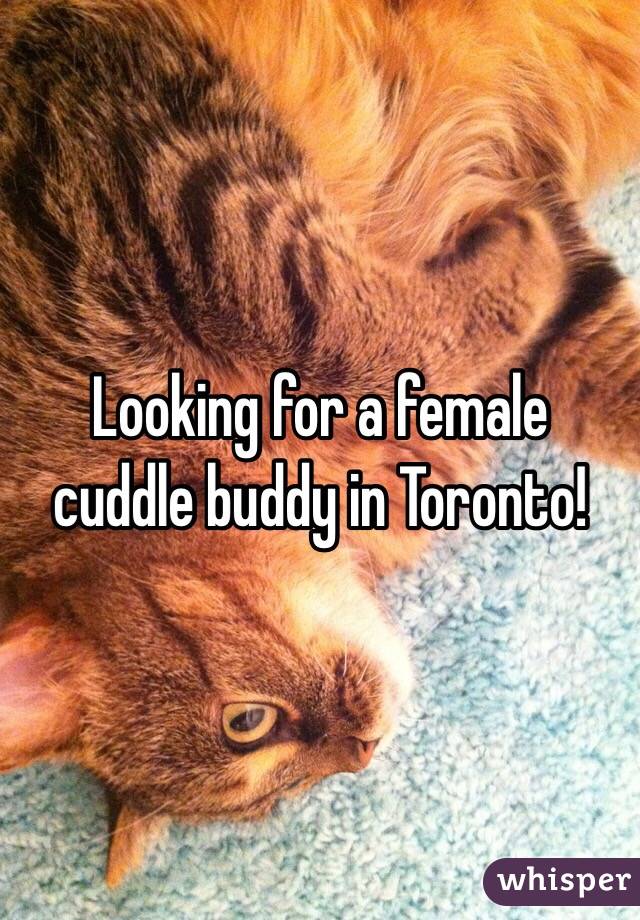 Looking for a female cuddle buddy in Toronto! 