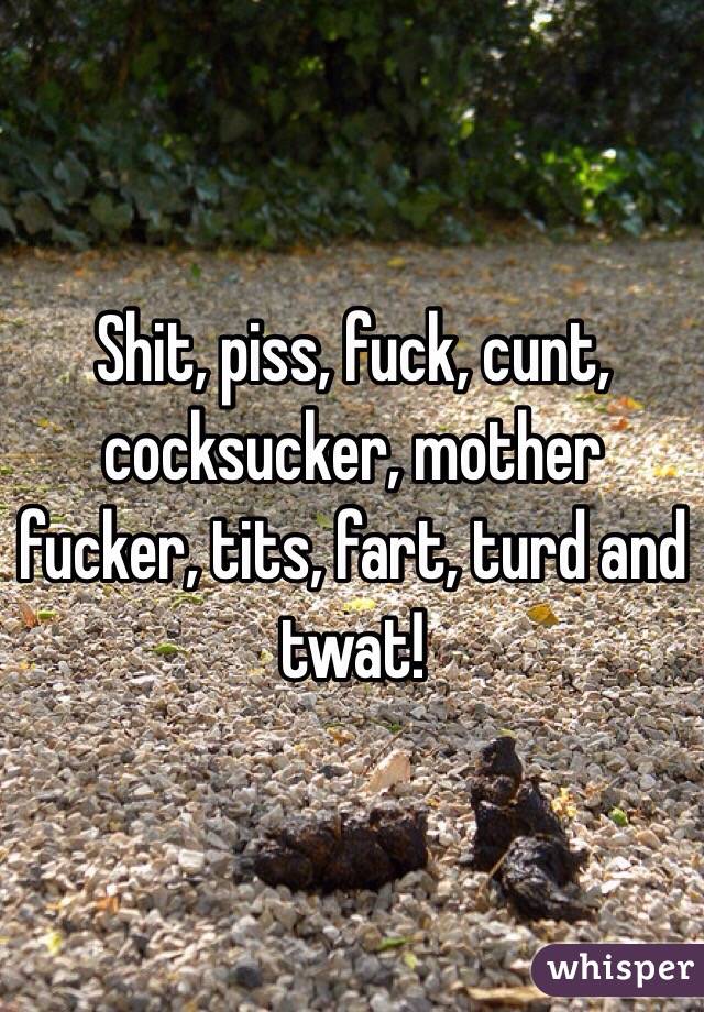 Shit, piss, fuck, cunt, cocksucker, mother fucker, tits, fart, turd and twat! 