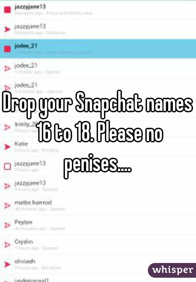 Drop your Snapchat names 16 to 18. Please no penises.... 
