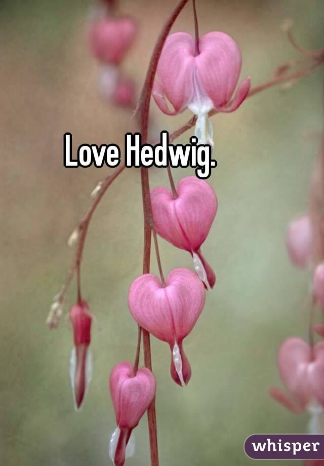 Love Hedwig. 