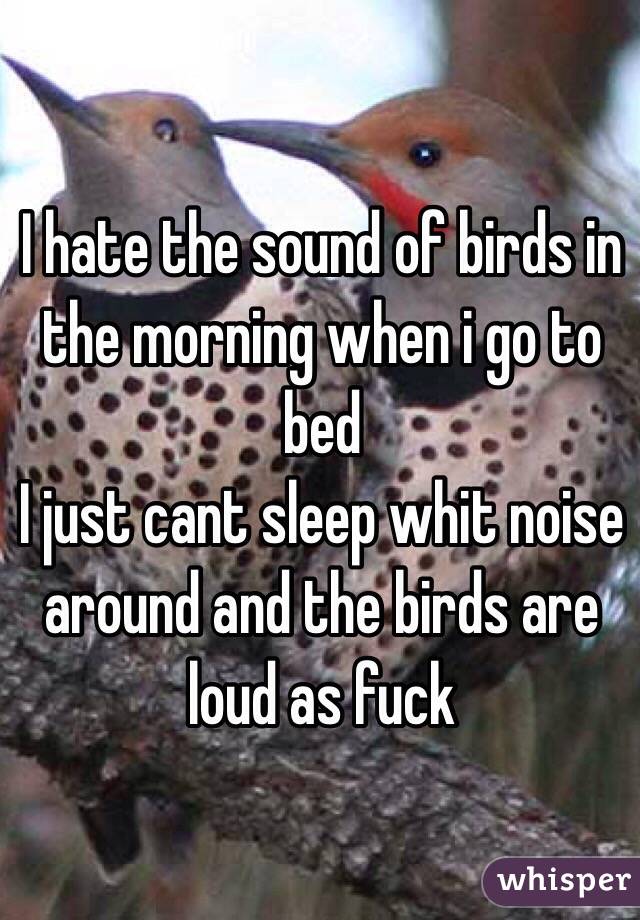 I hate the sound of birds in the morning when i go to bed
I just cant sleep whit noise around and the birds are loud as fuck