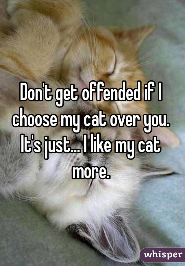 Don't get offended if I choose my cat over you. It's just... I like my cat more. 