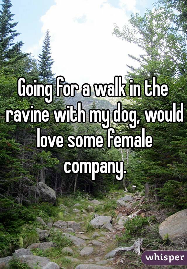 Going for a walk in the ravine with my dog, would love some female company.