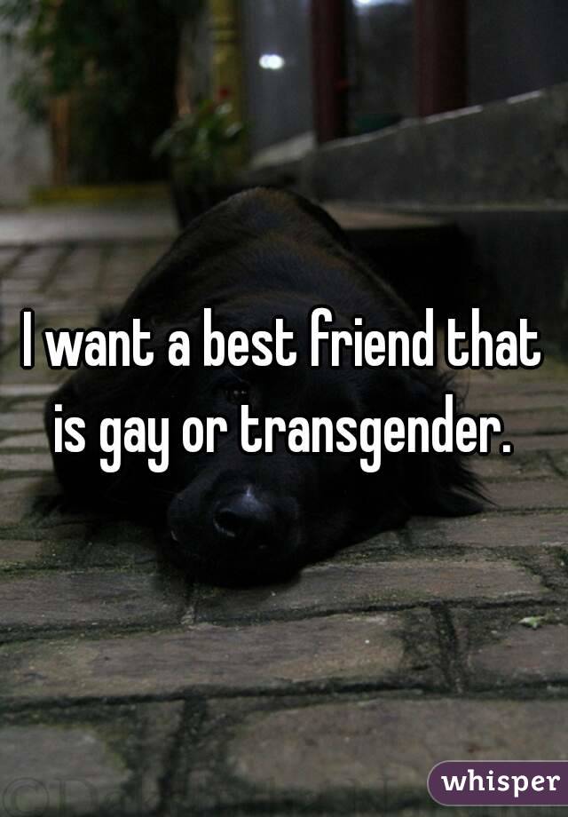 I want a best friend that is gay or transgender. 
