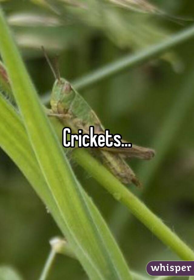 Crickets...