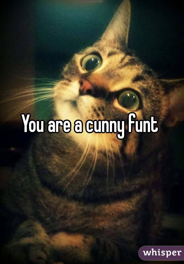 You are a cunny funt 
