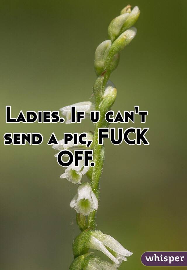 Ladies. If u can't send a pic, FUCK OFF. 