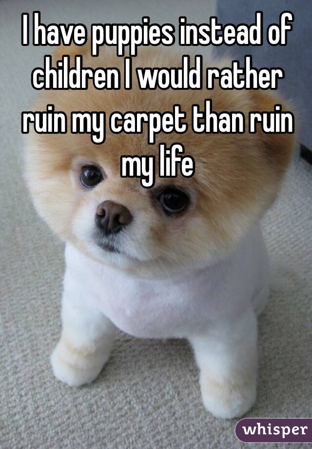 I have puppies instead of children I would rather ruin my carpet than ruin my life 