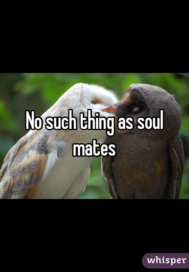 No such thing as soul mates 