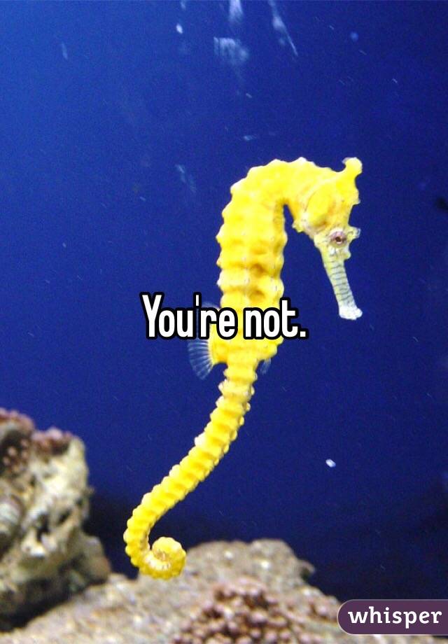You're not. 
