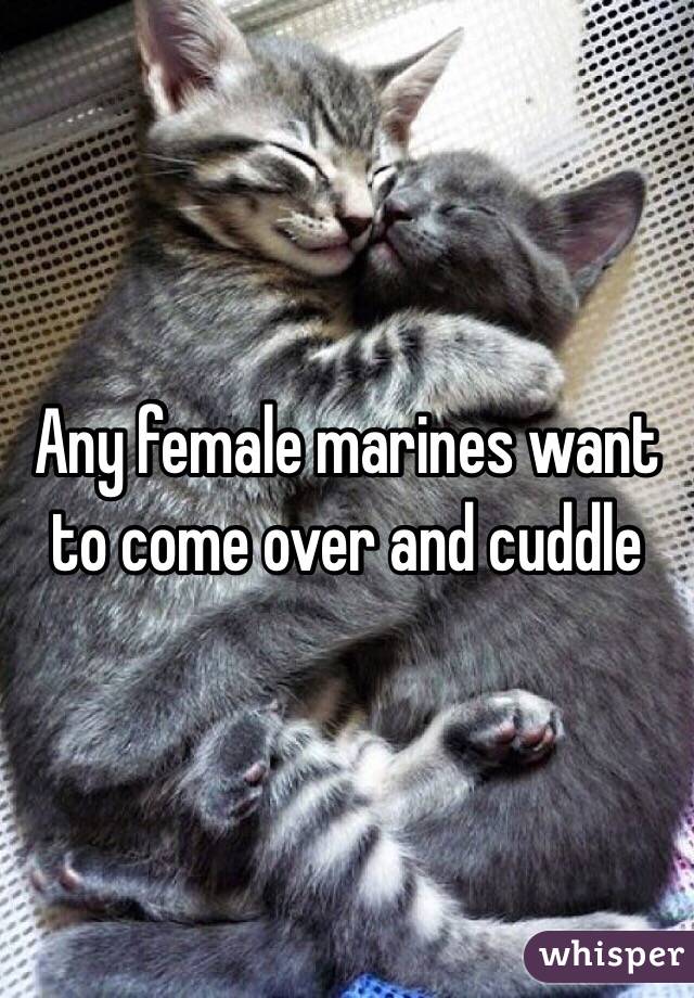 Any female marines want to come over and cuddle