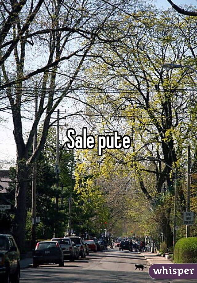 Sale pute