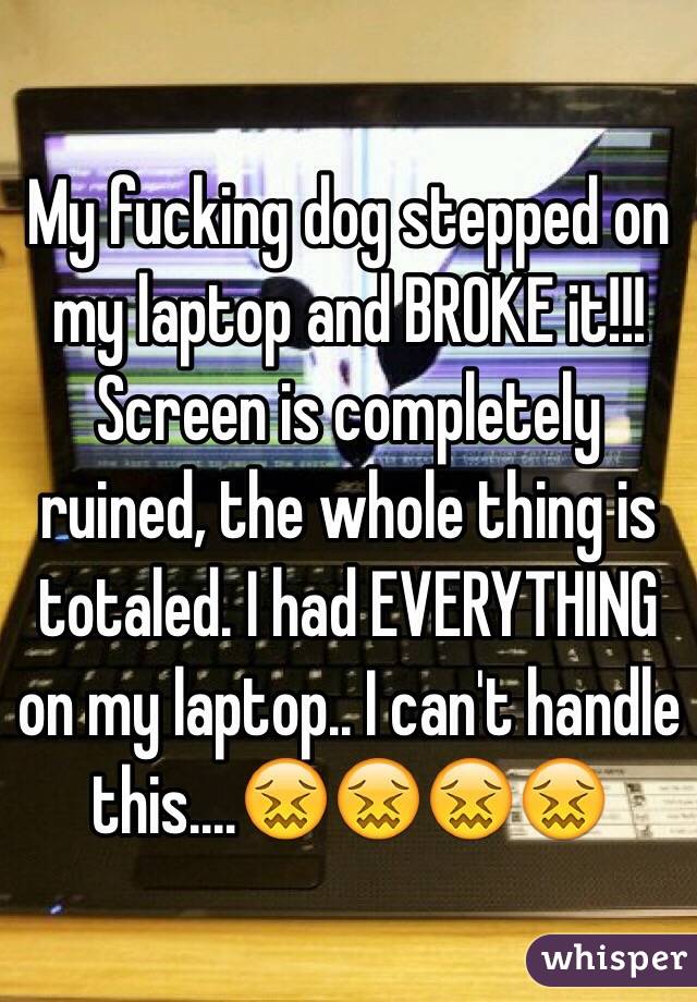 My fucking dog stepped on my laptop and BROKE it!!! Screen is completely ruined, the whole thing is totaled. I had EVERYTHING on my laptop.. I can't handle this....😖😖😖😖