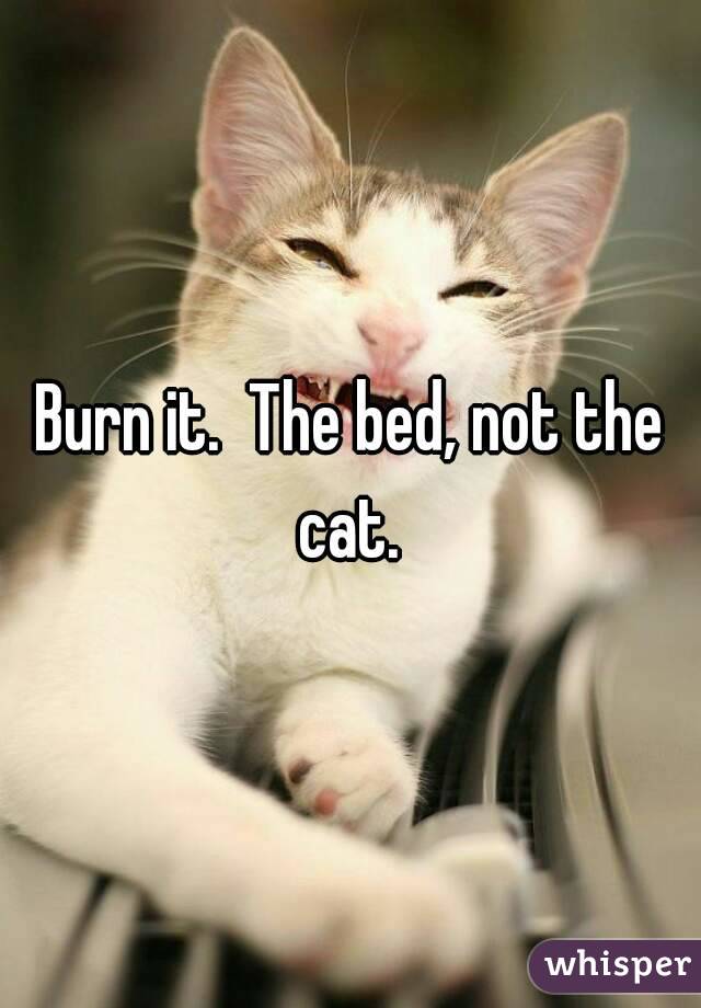 Burn it.  The bed, not the cat. 