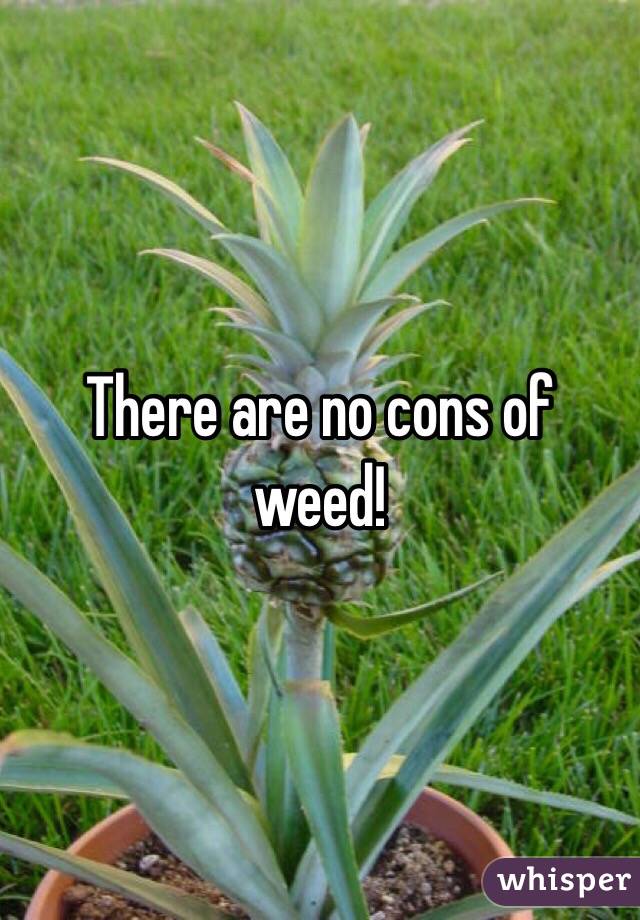 There are no cons of weed! 